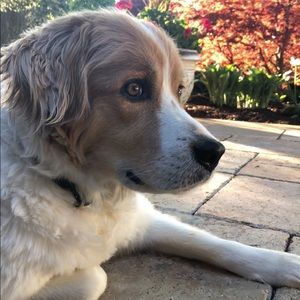 Meet your Posher, Jess